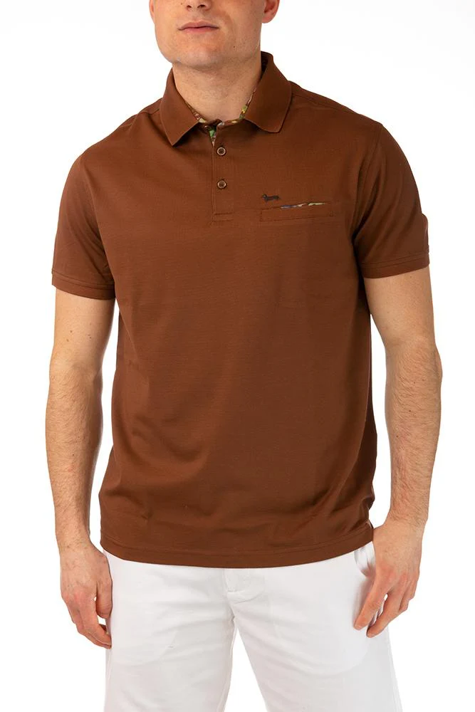 MAGLIA Uomo HARMONT E BLAINE POLO   Marrone